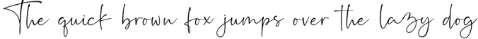 Rushtick Signature Font Font Preview