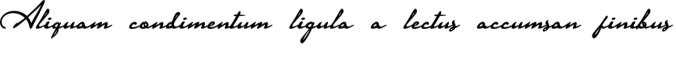 Signaturia Font Preview