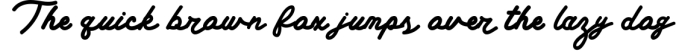 Alternatie Vintage - Font Bundle Font Preview
