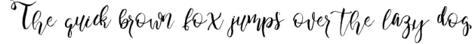 Wonder Angel Script Font Font Preview