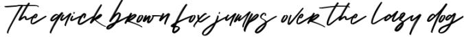 Katty Lynch Brush Font - Free Serif Font Preview