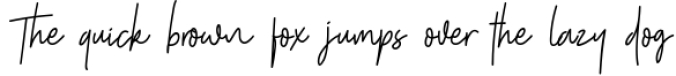 Shutter Stone - Signature Script Font Preview