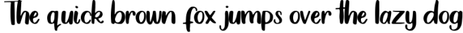 Zippy - Solid Brush Font Font Preview