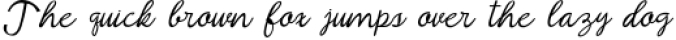 19 In 1 Font Colection 2019 -Bonuss 7 Font Font Preview