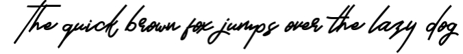 Brand Hole | Handwritten Signature Font Font Preview