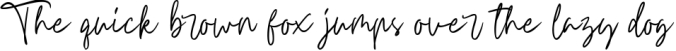 Carnollia Signature Font Preview