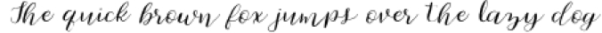Cherokee Rose Calligraphy Script Font Preview