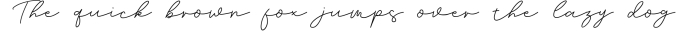 Brian Strait - Signature Font Font Preview