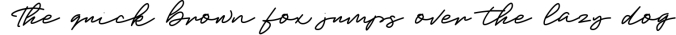 Trixie Script - 3 Weights Font Preview