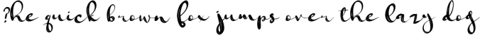 Jungfrau Slopes Modern Calligraphy Brush Script Font Preview