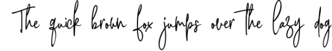 Pink Script - Beautiful Signature Font Font Preview