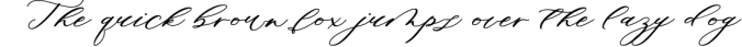 Minimalist Script Font Font Preview