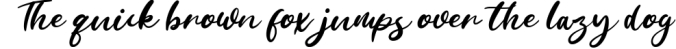 Bugenfly Handwritten Signature Font Preview