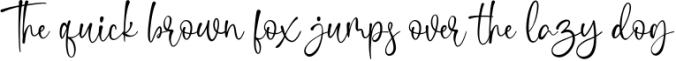 Shelina Beauty Script Font Font Preview