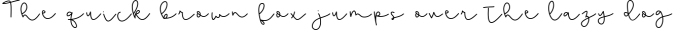 Beautiful Disaster Script - Handwritten Font Font Preview