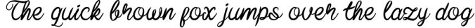 Baline Script Font Preview