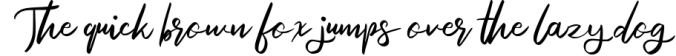 Enigma | Modern Script Font Font Preview