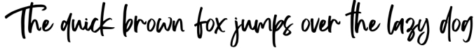 Modeboard | Handwritten Script Font Font Preview