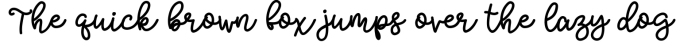 Bobbles - A script font in 3 weights! Font Preview
