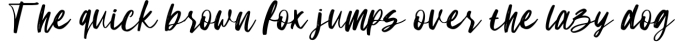 Sam Lonica Handwritten Script Font Font Preview