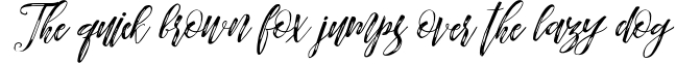 BUNDLE (Fonts Colection) Font Preview