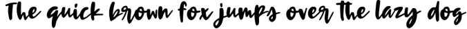Terrapin - a scrappy handwriting font! Font Preview