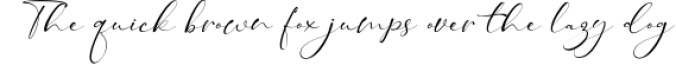 Taman Signature | Stylish Modern Script Font Preview