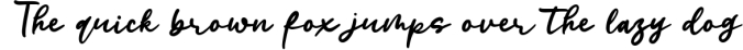 Modesty Script - Handwritten Font Font Preview