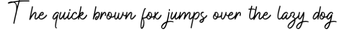 Hamilton Signature Font Font Preview