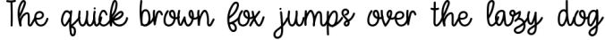 January - A Modern Hand Drawn Script Font Font Preview