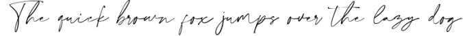 Collection Font Preview
