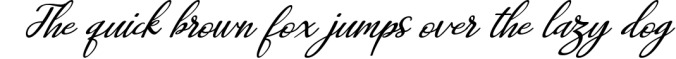Djulia Script Monogram Font Font Preview
