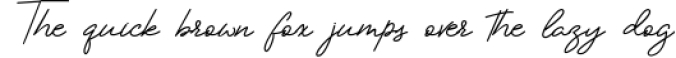 Berlindah Monoline Signature Font Preview
