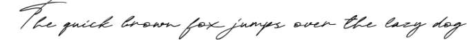 Henriette Signature Script Font Font Preview