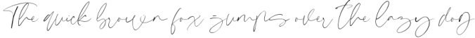 Signeritta - Elegant Signature Font Preview