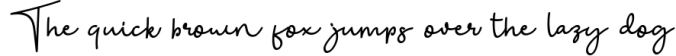 The Bohemian - a Signature Font Font Preview
