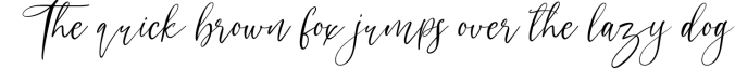 angelina - modern calligraphy font Font Preview