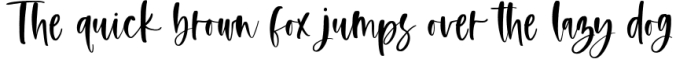 Flashy - A Handwritten Script Font Font Preview