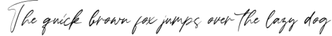 Ballerina - Signature Script Font Font Preview