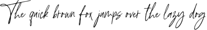 The Brywood - A Handwritten Script & Serif Font Duo Font Preview