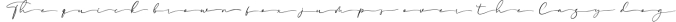 Windblows Script Typeface Font Preview