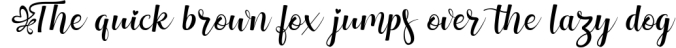 Tiberias Script Monogram Font Font Preview
