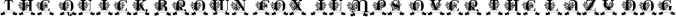 Charlie Monogram Font Preview