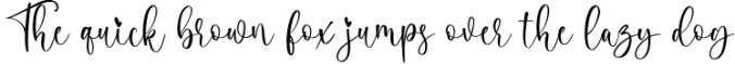 Camerline - Modern Calligraphy Font Font Preview