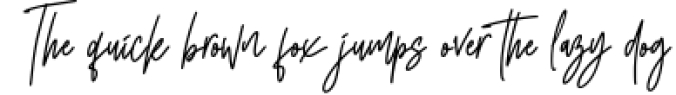 South Walles  Signature Font Font Preview