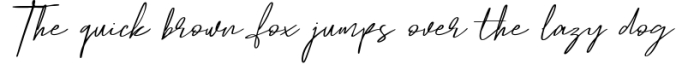 Hamilton - Elegant Signature Font Preview