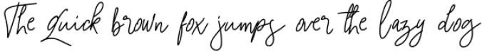 tailorella script Font Preview