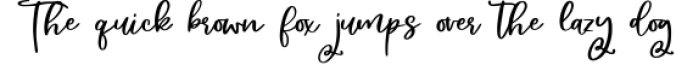 Lemonade Sangria - A Handlettered Script Font Font Preview