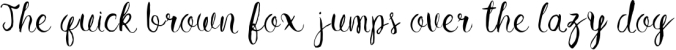 Cafune Script Font Preview