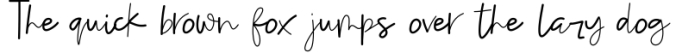 Mishap - A Chic Handwritten Font Font Preview